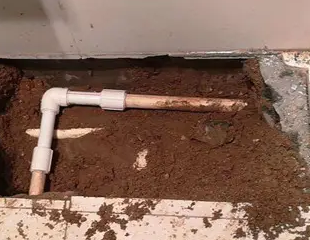 旅顺口测漏水哪家好