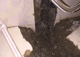 旅顺口卫生间测漏水哪家好