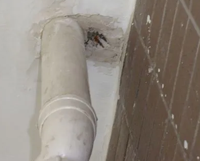 旅顺口漏水检测哪家好