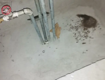 旅顺口卫生间测漏水价格明细